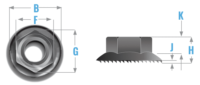 Ficha técnica tuerca Flange